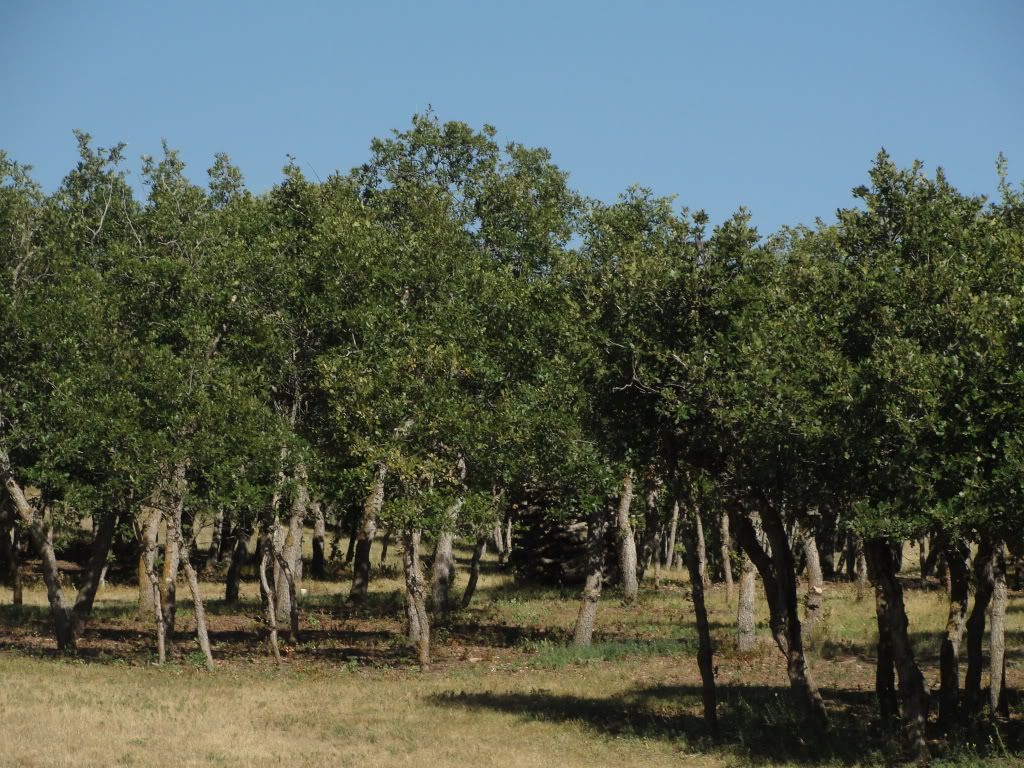 Keene Ranch Subdivision Castle Rock Colorado